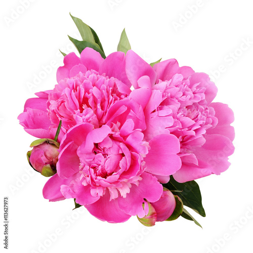 Bouquet of pink peony flowers