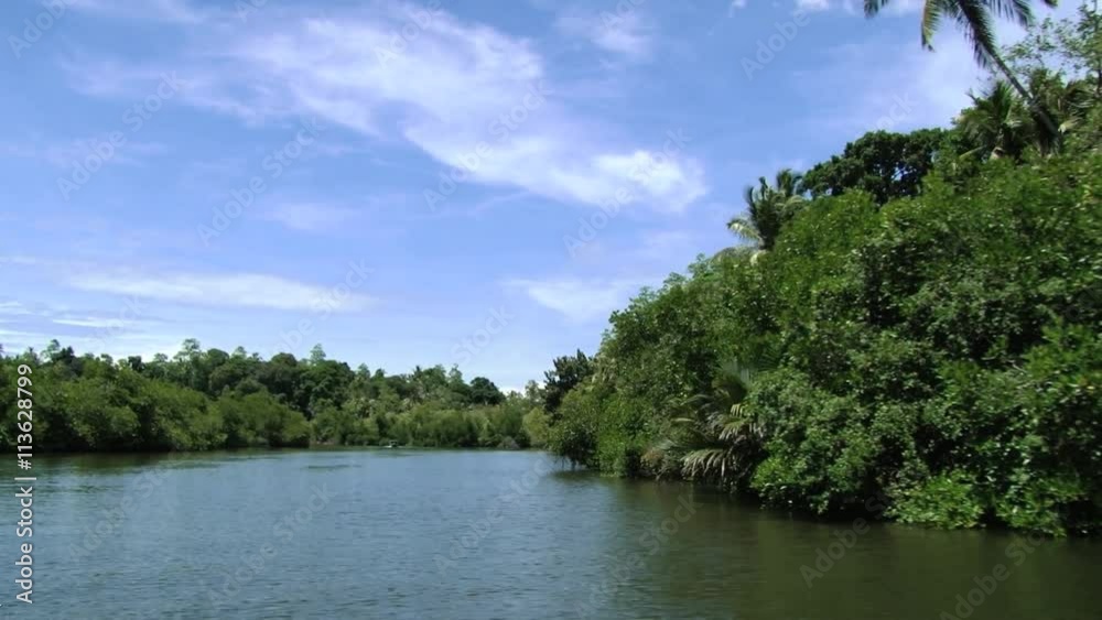 View to Madu Ganga river from the moving tourist boat in Sri Lanka. View to Madu Ganga river from the moving tourist boat in Sri Lanka.