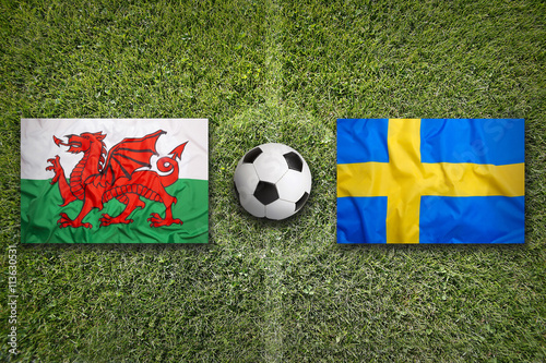 Wales vs. Sweden flags on soccer field