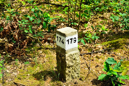 Słupek w lesie z numerami