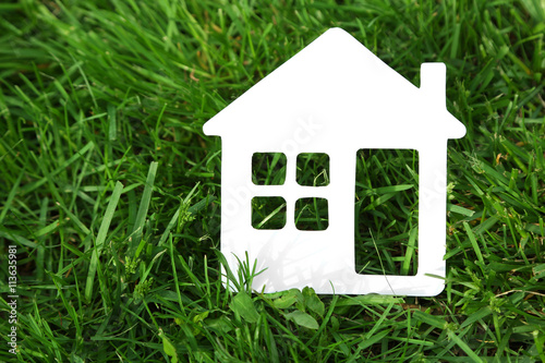 Wooden shape of house on green grass background