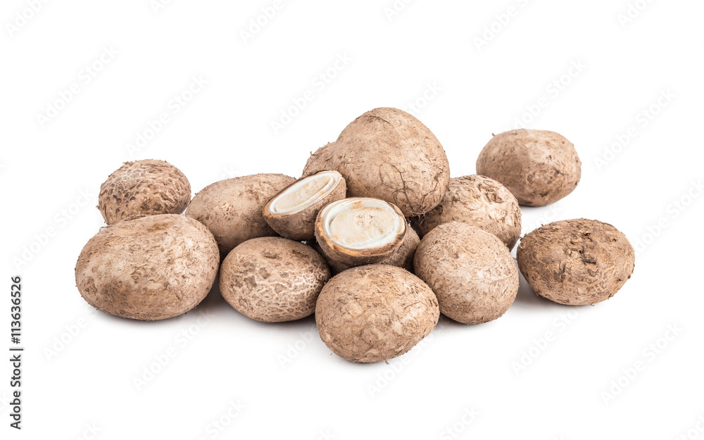 puffball mushroom isolated on white background puffball mushroom isolated on white background
