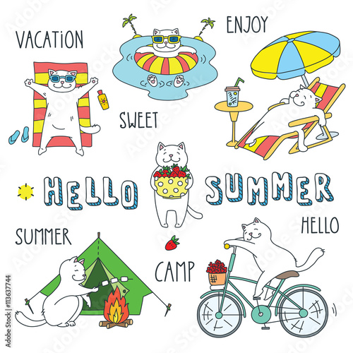 Hello summer. Doodle vector illustration of funny white cat enjoing the summer