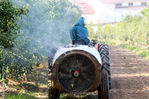 Fotografia air blast sprayer with a chemical insecticide