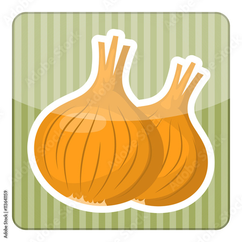 Onion colorful icon