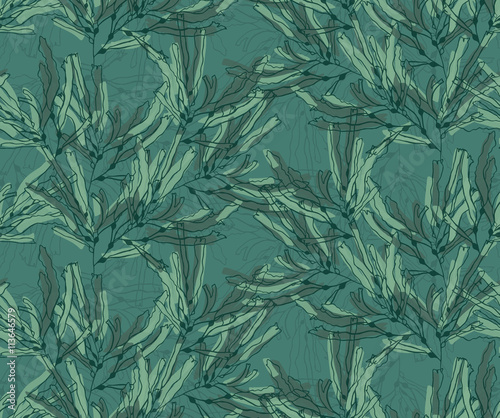 Kelp seaweed green marker brushed