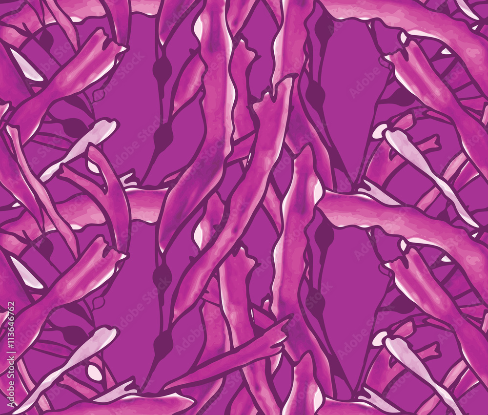 Kelp seaweed purple watercolor Kelp seaweed purple watercolor