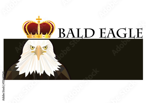 Logo bald eagle  in the royal crown