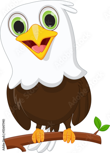 cute little eagle on a tree branch