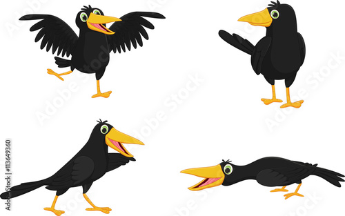 Set of cute cartoon crow