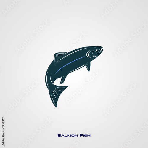 salmon fish