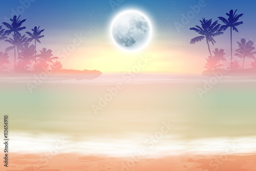 Beach with palm trees and full moon at night