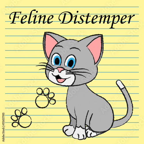 Feline Distemper Represents Domestic Cat And Cats © Stuart Miles