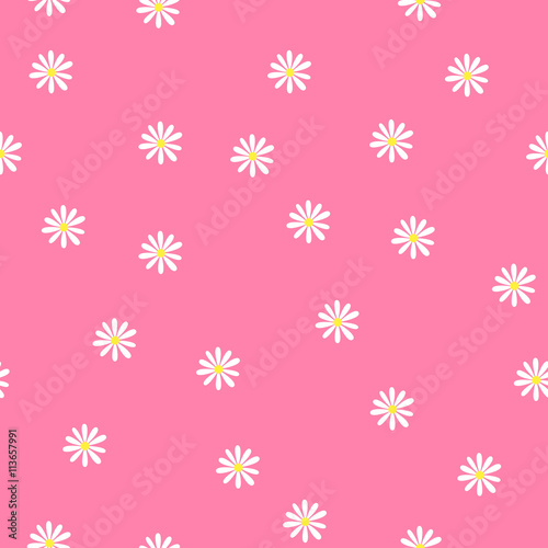 Camomiles, Seamless floral pattern