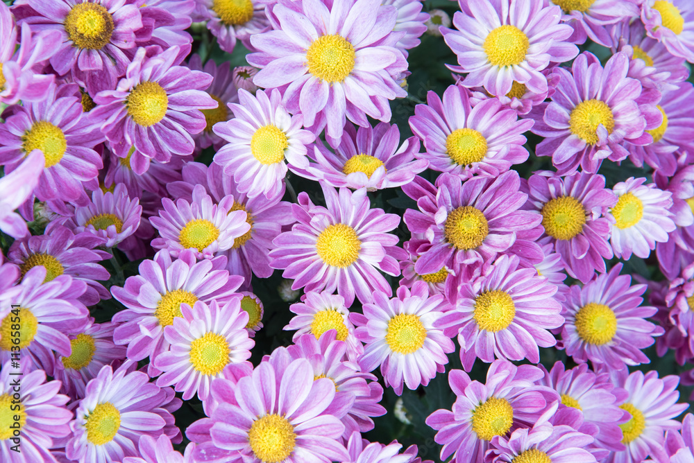 Bunch of flowers Bunch of flowers