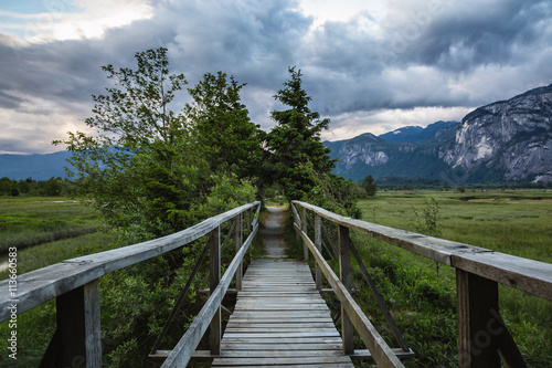 Path across the wooden bridge in the nature. Picture taken in Squamish, British Columbia, Canada