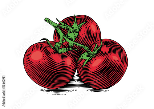 Branch of tomatoes