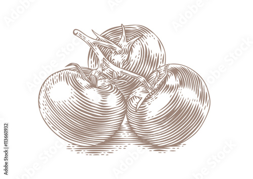Branch of tomatoes