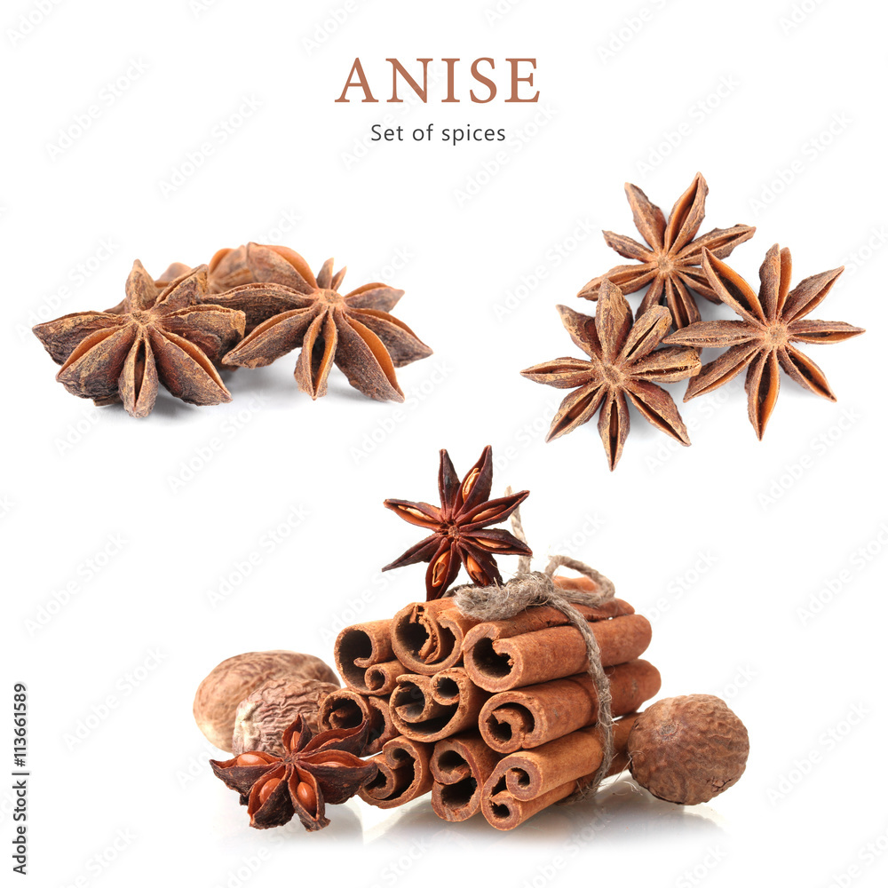 Anise spice. Isolated on white background