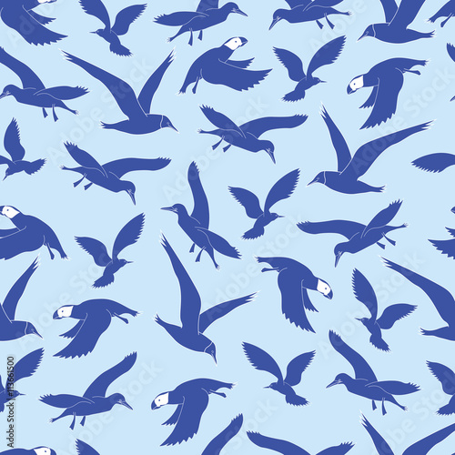 Background The contour of the sea birds.Background Blue sea birds in flight. Background Sea birds fly. 