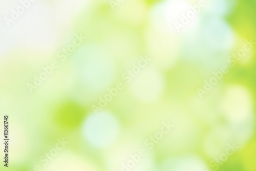 Abstract nature bokeh background