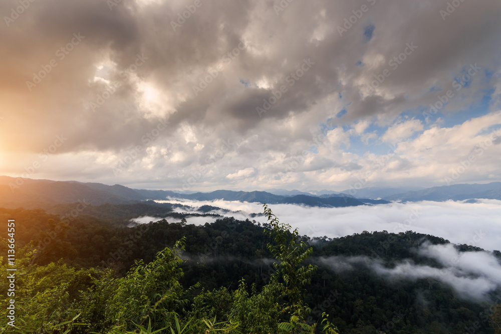 The landscape photo, beautiful sea fog in morning time from the mountain