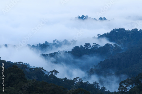 The landscape photo, beautiful sea fog in morning time from the mountain