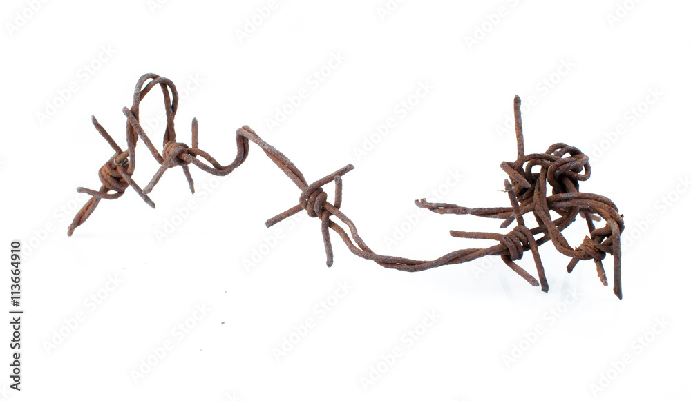 Fototapeta premium Rusted barbed wire isolated on white background