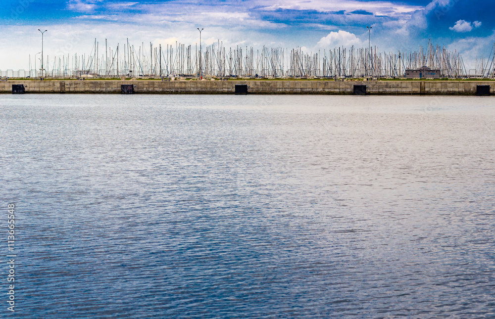 Fototapeta premium trees of sailboats