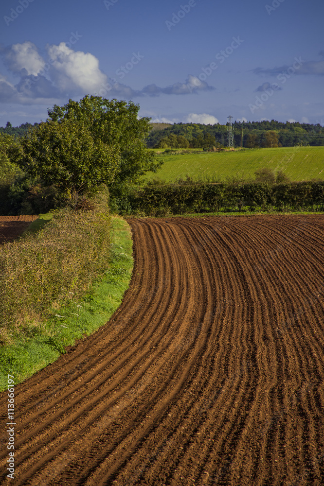field agriculrural landscape UK