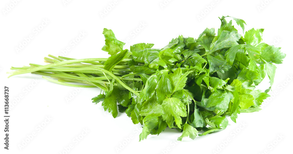 Fototapeta premium Celery on White Background