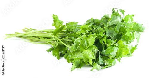 Celery on White Background