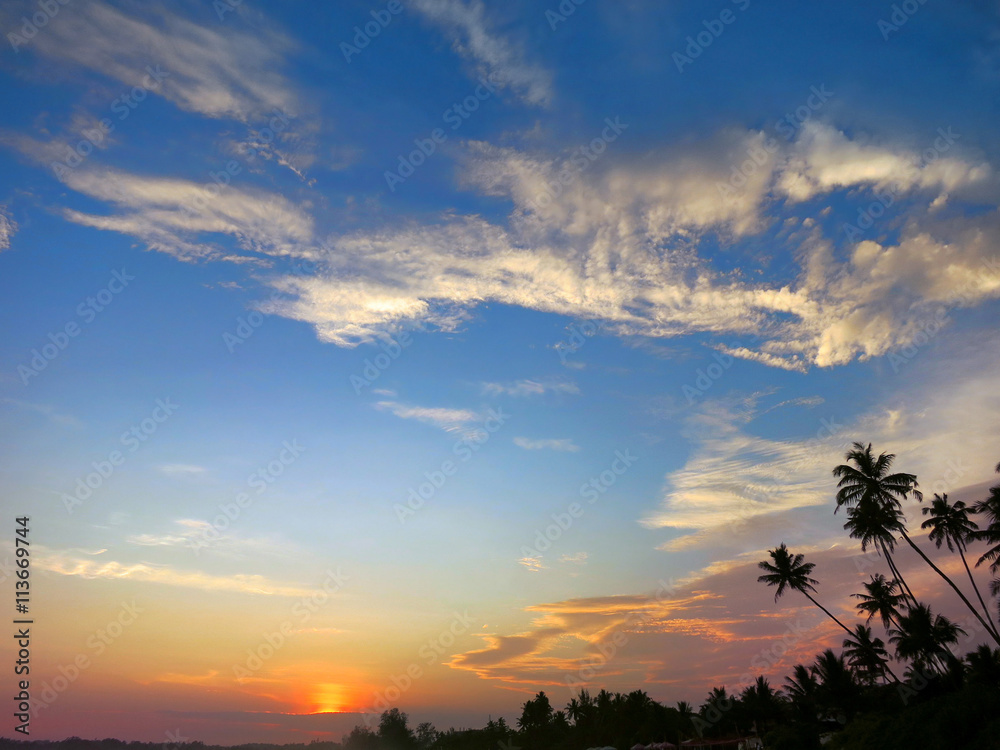 Black palm trees silhouettes on sunset sky background, Kamburugamuwa, Sri Lanka