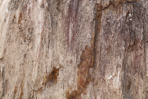 Nature rock texture for background.