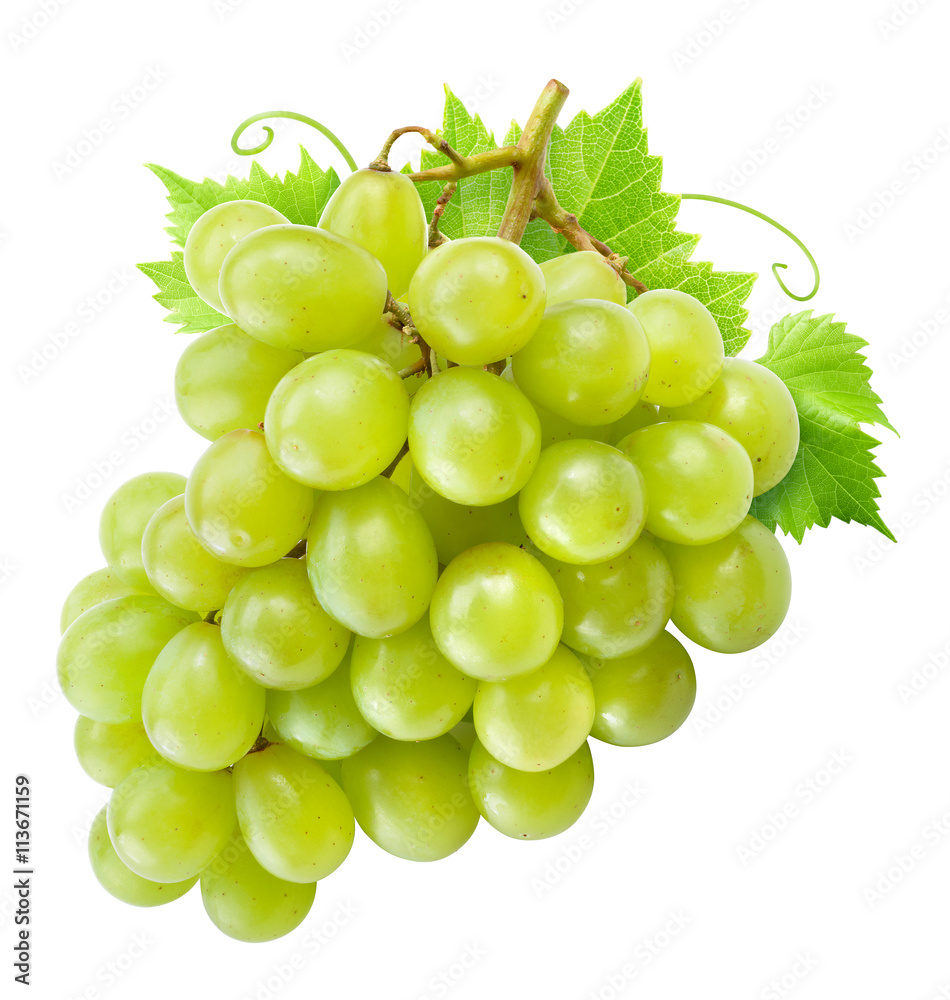 Fresh green grapes with leaves. Isolated on white. Clipping path
