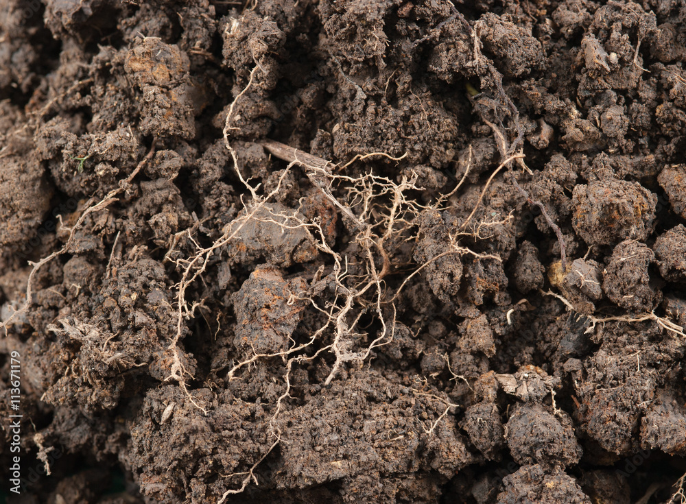 Soil background Soil background