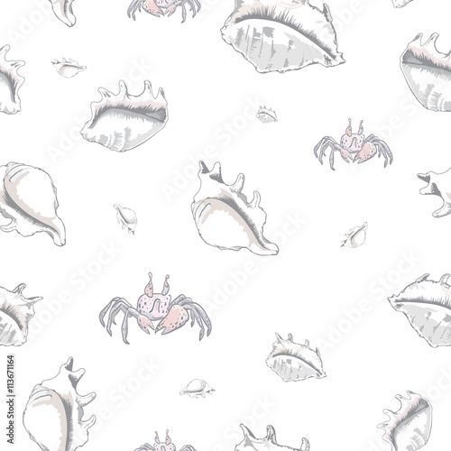 The vector seamless pattern with funny crabs and beautiful seashells