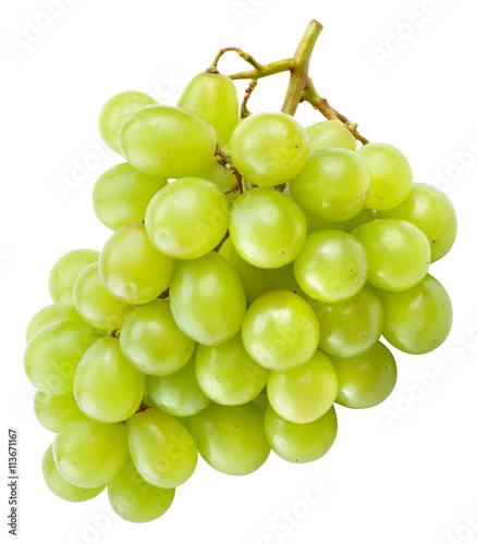 Fresh green grapes isolated on white. With clipping path.