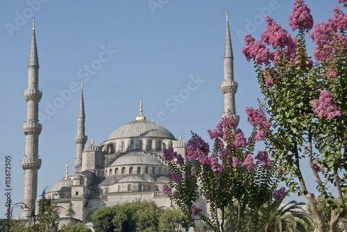 Domes and minarets of The Blue Mosque in Istanbul, Turkey.