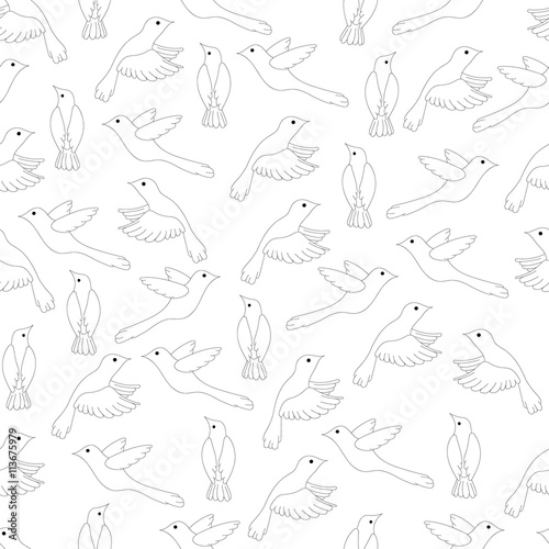 Doodle black and white birds seamless pattern. Vector hand drawn background.