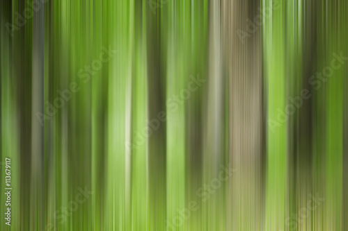 Abstract art for background use. An image of a forest processed with a motion blur effect. The color tone is green.