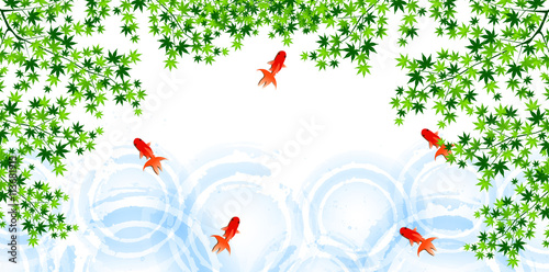 金魚　もみじ　風景　背景