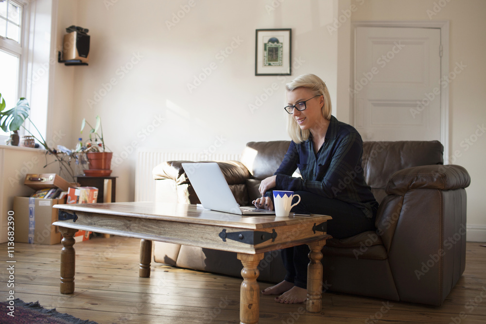 Young Female Entrepreneur Working At Home On Laptop Young Female Entrepreneur Working At Home On Laptop