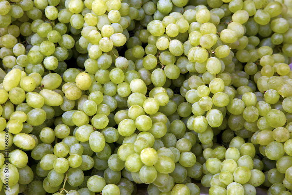 Vitis vinifera L. , VITACEAE , Cardinal Grape , Emperor Grape ,Green wine grapes on the market Vitis vinifera L. , VITACEAE , Cardinal Grape , Emperor Grape ,Green wine grapes on the market