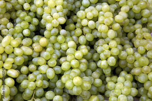 Vitis vinifera L. , VITACEAE , Cardinal Grape , Emperor Grape ,Green wine grapes on the market