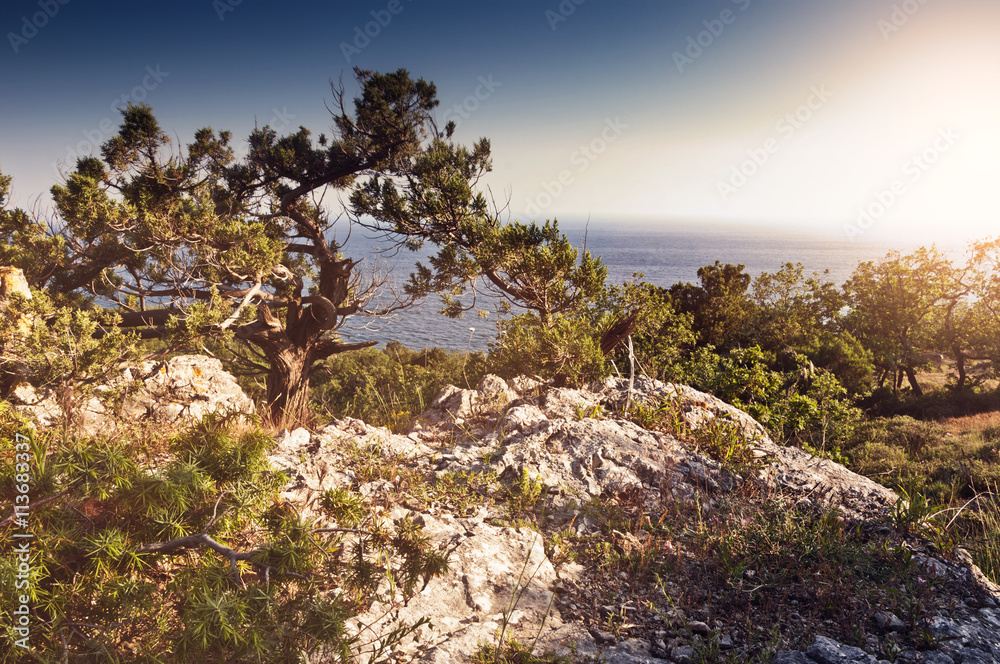 sea landscape in Foros (Ukraine, Crimea - 2016)