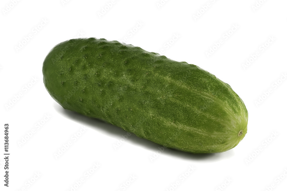 Green cucumber on the white background Green cucumber on the white background