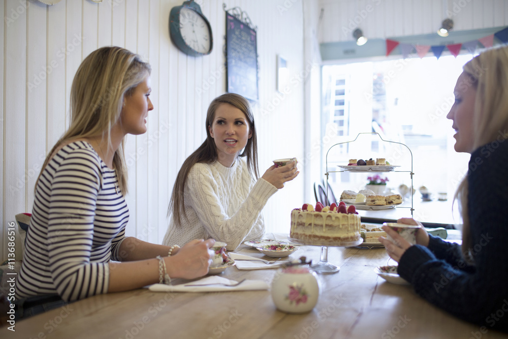 Group Of Young Female Friends Meeting In Tea Shop Group Of Young Female Friends Meeting In Tea Shop