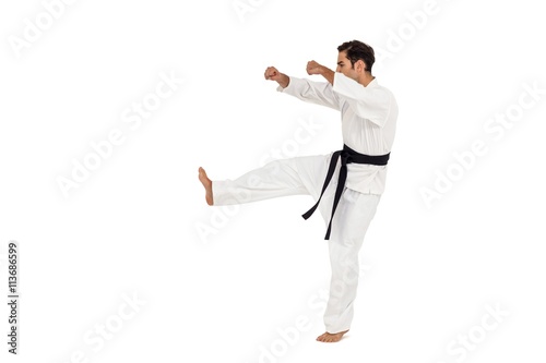 Fighter performing karate stance