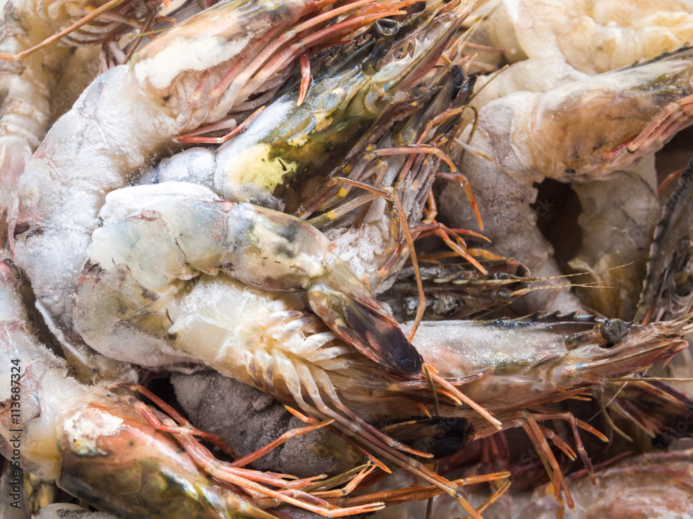 Fresh Shrimp or Prawn Lay on Ice freezing process. Fresh Shrimp or Prawn Lay on Ice freezing process.